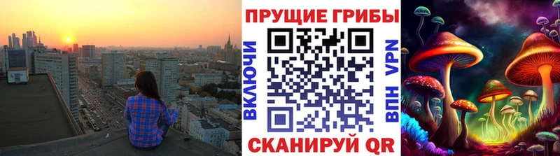 Галлюциногенные грибы Psilocybine cubensis  Сургут 